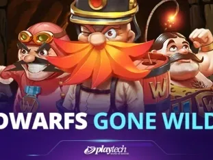 Dwarfs Gone Wild game cover